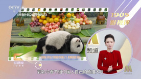 我想象的约会